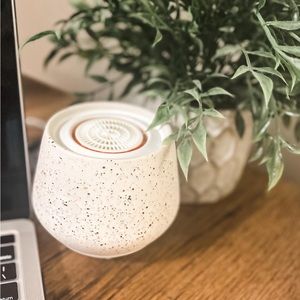 Bespeckled Tabletop Fan Diffuser and Velvet Moon Scentsy Pods